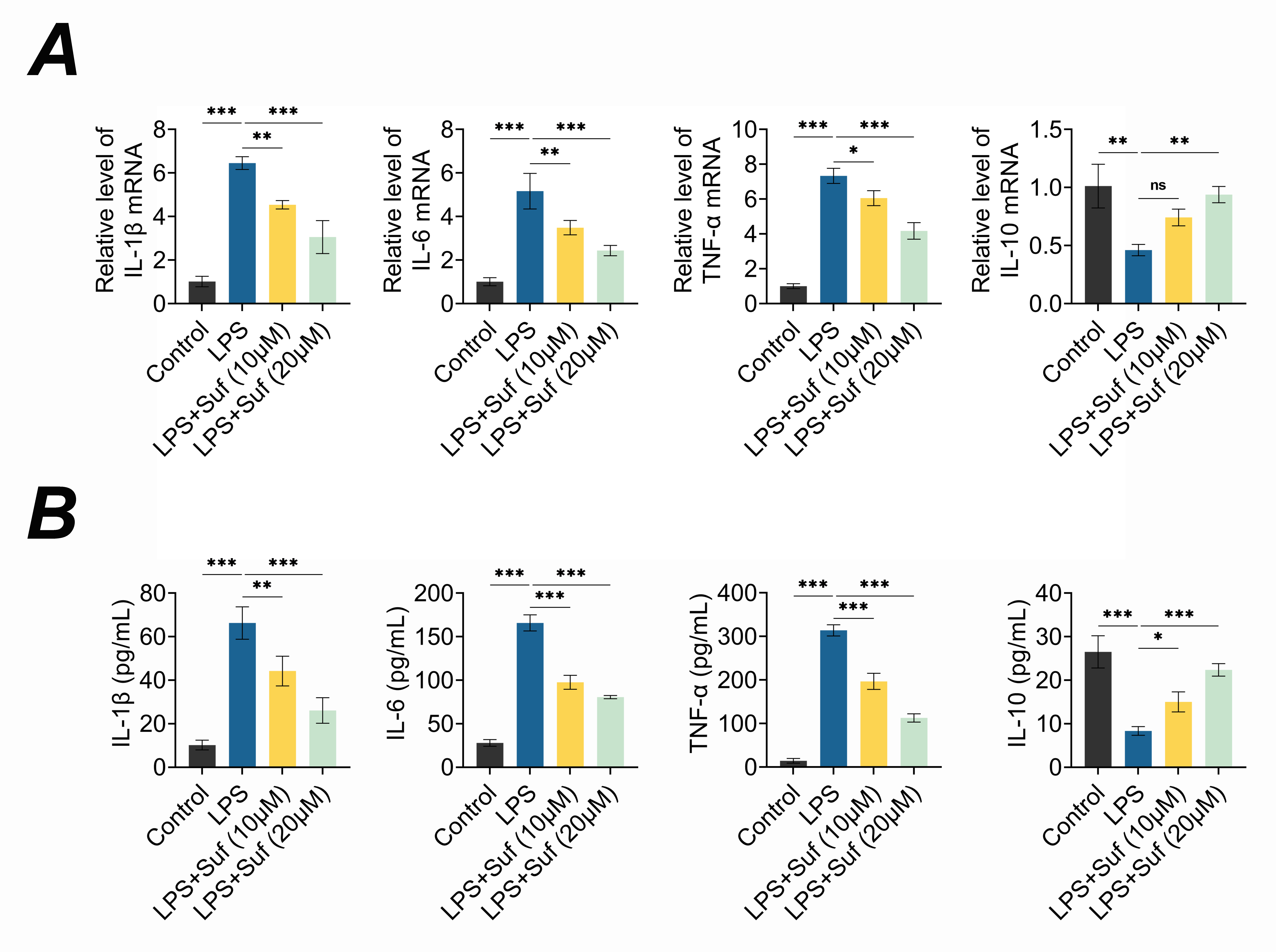 Sufentanil attenuates inflammation in LPS-induced BV2 cells. (A) Assessment of mRNA expressions of IL-1β, IL-6, TNF-α and
IL-10 in Control, LPS, LPS + Suf (10 μM), and LPS + Suf (20 μM)
groups via RT-qPCR. (B) Analysis of IL-1β, IL-6, TNF-α
and IL-10 levels in Control, LPS, LPS + Suf (10 μM), and LPS + Suf (20
μM) groups using ELISA. *p < 0.05, **p < 0.01,
***p < 0.001. Suf: Sufentanil; LPS: lipopolysaccharide; IL-1β:
interleukin-1β; TNF-α: tumor necrosis factor-α; ns: no
significance.