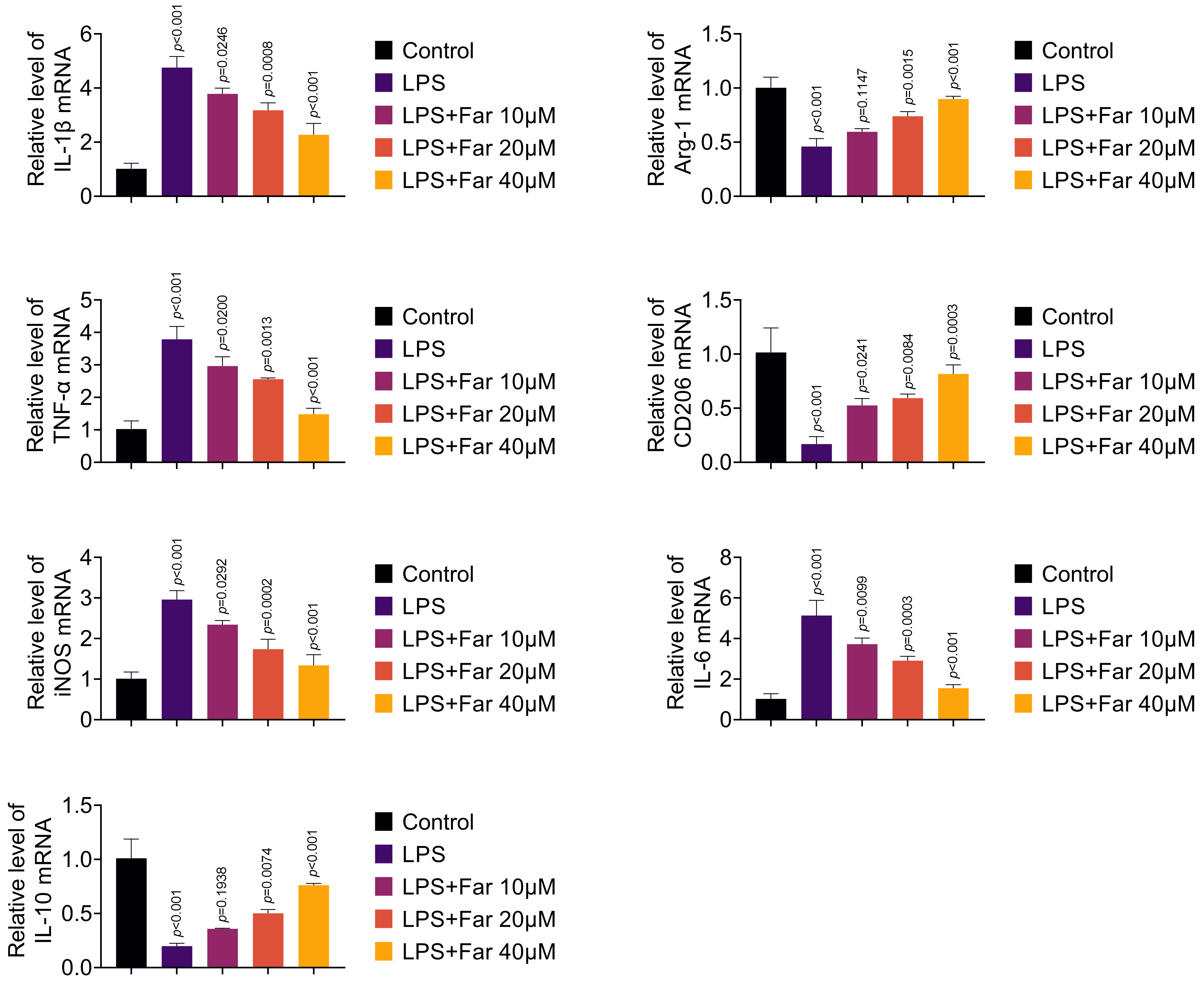 Fargesin facilitates gene expressions associated with M2
polarization. Groups were separated into Control, LPS, LPS + Far 10 μM,
LPS + Far 20 μM and LPS + Far 40 μM group. The mRNA expressions
of IL-1β,
IL-10, TNF-α, IL-6, Arg-1,
iNOS and CD206 were examined through RT-qPCR. IL: Interleukin; LPS: lipopolysaccharide; Far: Fargesin; Arg-1: Arginase 1; TNF-α: Tumor Necrosis Factor-α; CD206: cluster of differentiation 206; iNOS: Inducible nitric oxide synthase.