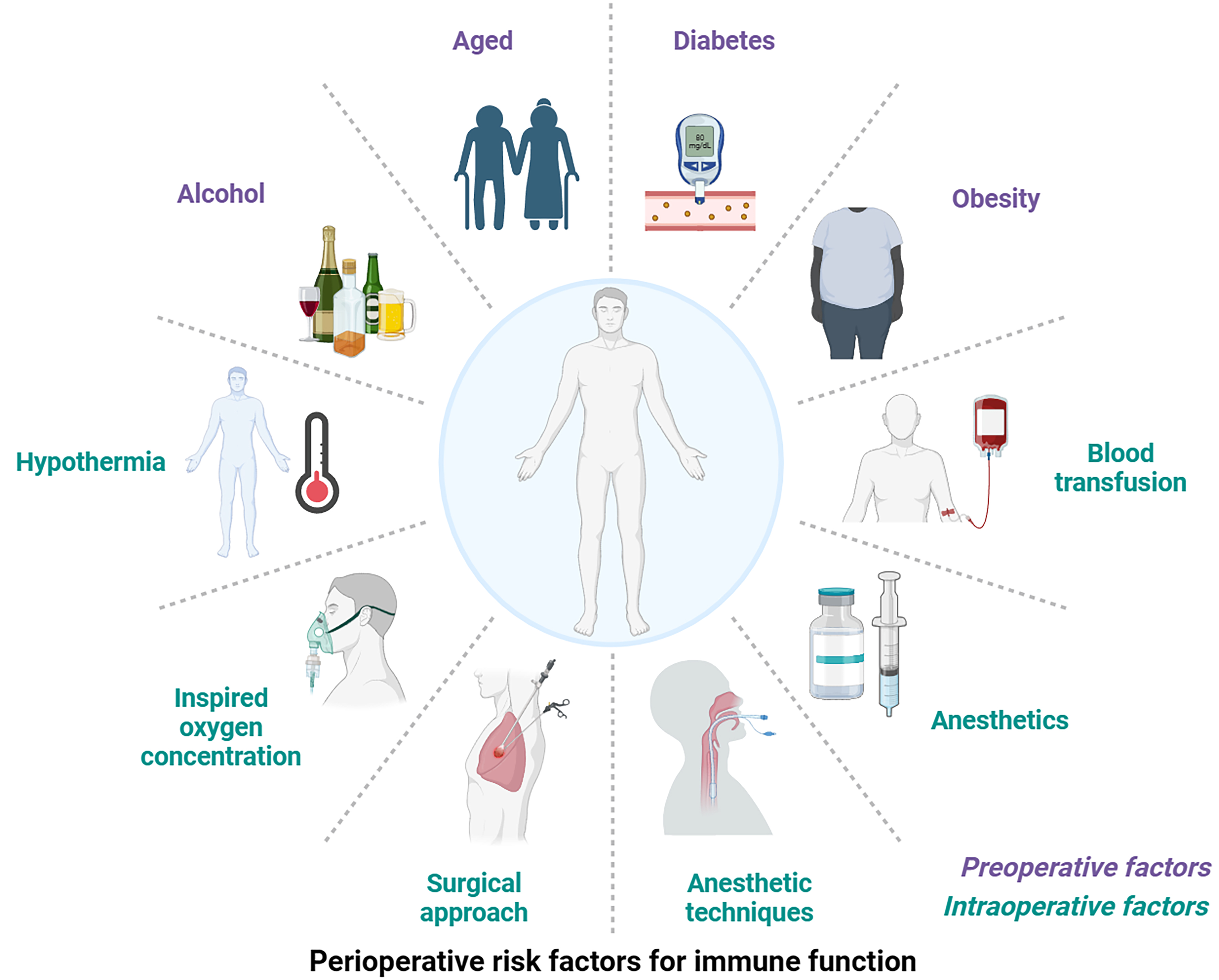 The effects of perioperative factors on immune function.