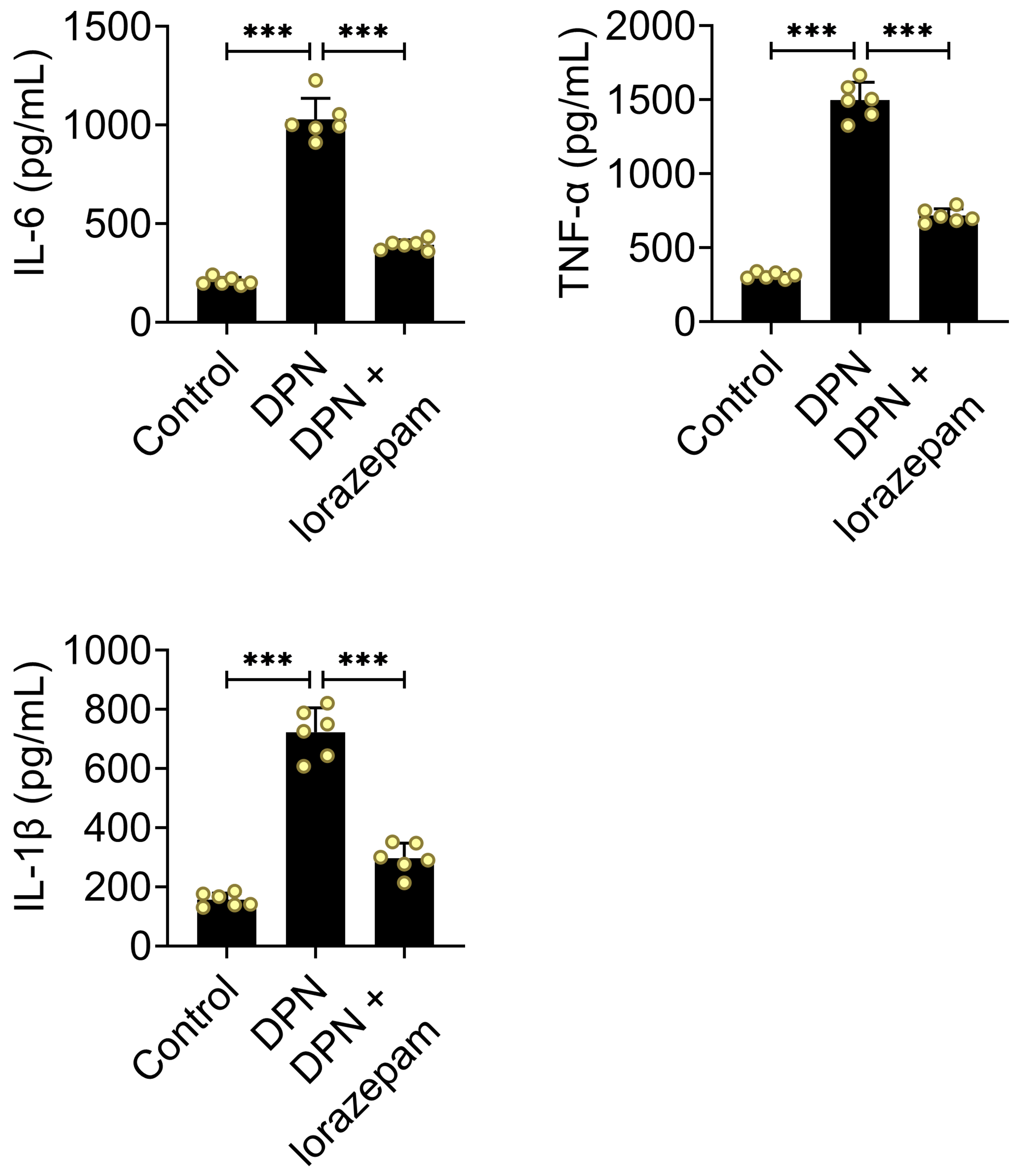 Lorazepam alleviated inflammation in DPN rats. Rats were
categorized into Control (n = 6), DPN (n = 6), and DPN + lorazepam (n = 6) groups.
Levels of TNF-α, IL-1β and IL-6 in serum were quantified using
ELISA. The data are presented as mean ± SEM. ***p < 0.001.
IL: interleukin;
TNF-α: tumor necrosis
factor-α; DPN: Diabetic peripheral
neuropathy.