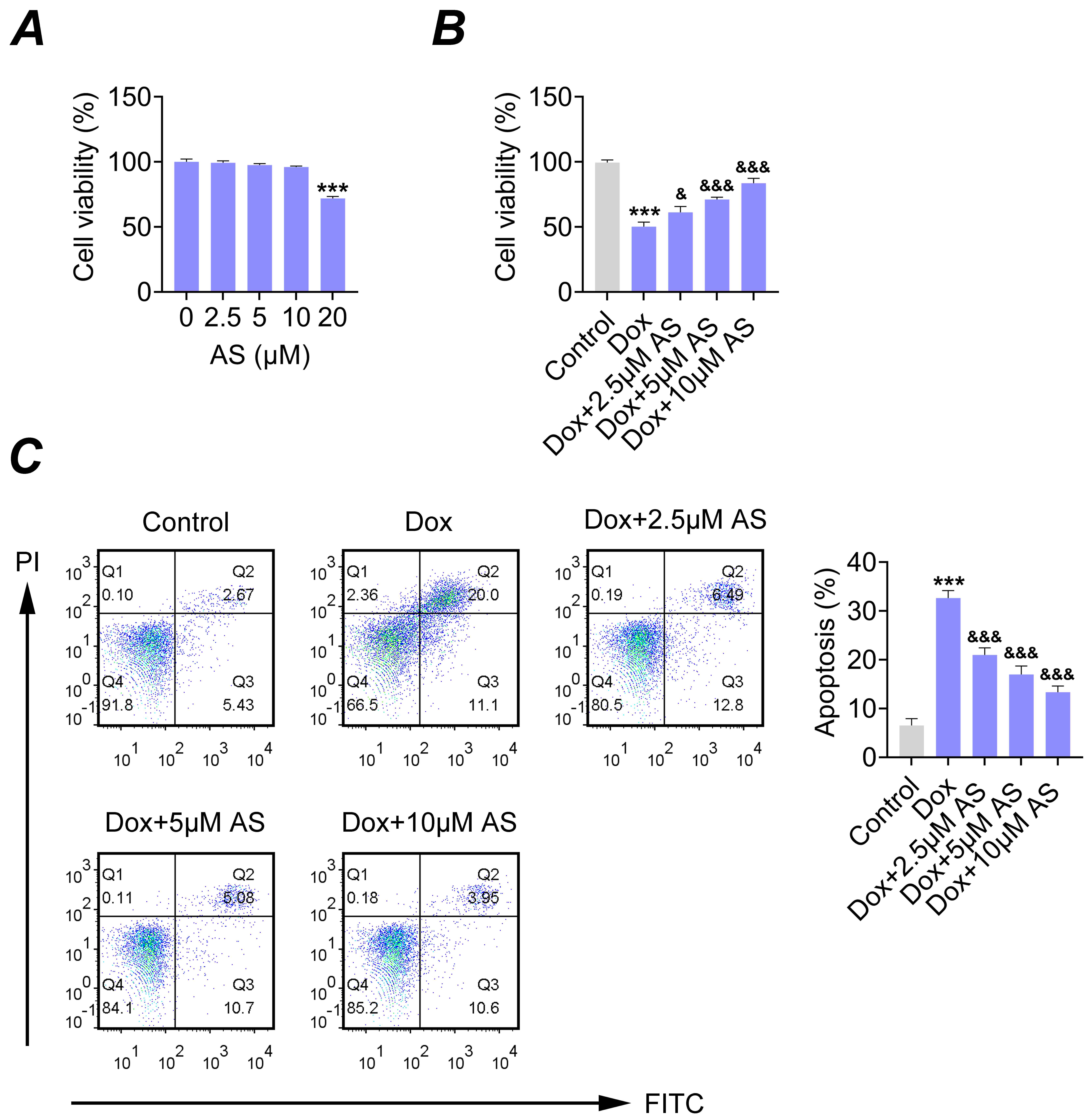 Artesunate (AS) promotes viability and reduces apoptosis of
Dox-stimulated H9C2 cells. (A) Cell viability assay using CCK-8 method in H9C2
cells treated with varying concentrations of AS (0, 2.5, 5, 10, 20 μM). (B)
Cell viability assay in H9C2 cells treated with Dox (1 μM) alone and in
combination with different concentrations of AS (2.5, 5, 10 μM). (C) Flow
cytometry analysis of apoptosis in H9C2 cells treated with Dox (1 μM) alone
and with AS (2.5, 5, 10 μM). Quantification of apoptosis.
***p < 0.001 compared to the control group; &p <
0.05, &&&p < 0.001 compared to Dox group. Dox: Doxorubicin
hydrochloride; PI: Propidium iodide; FITC: Fluorescein isothiocyanate.