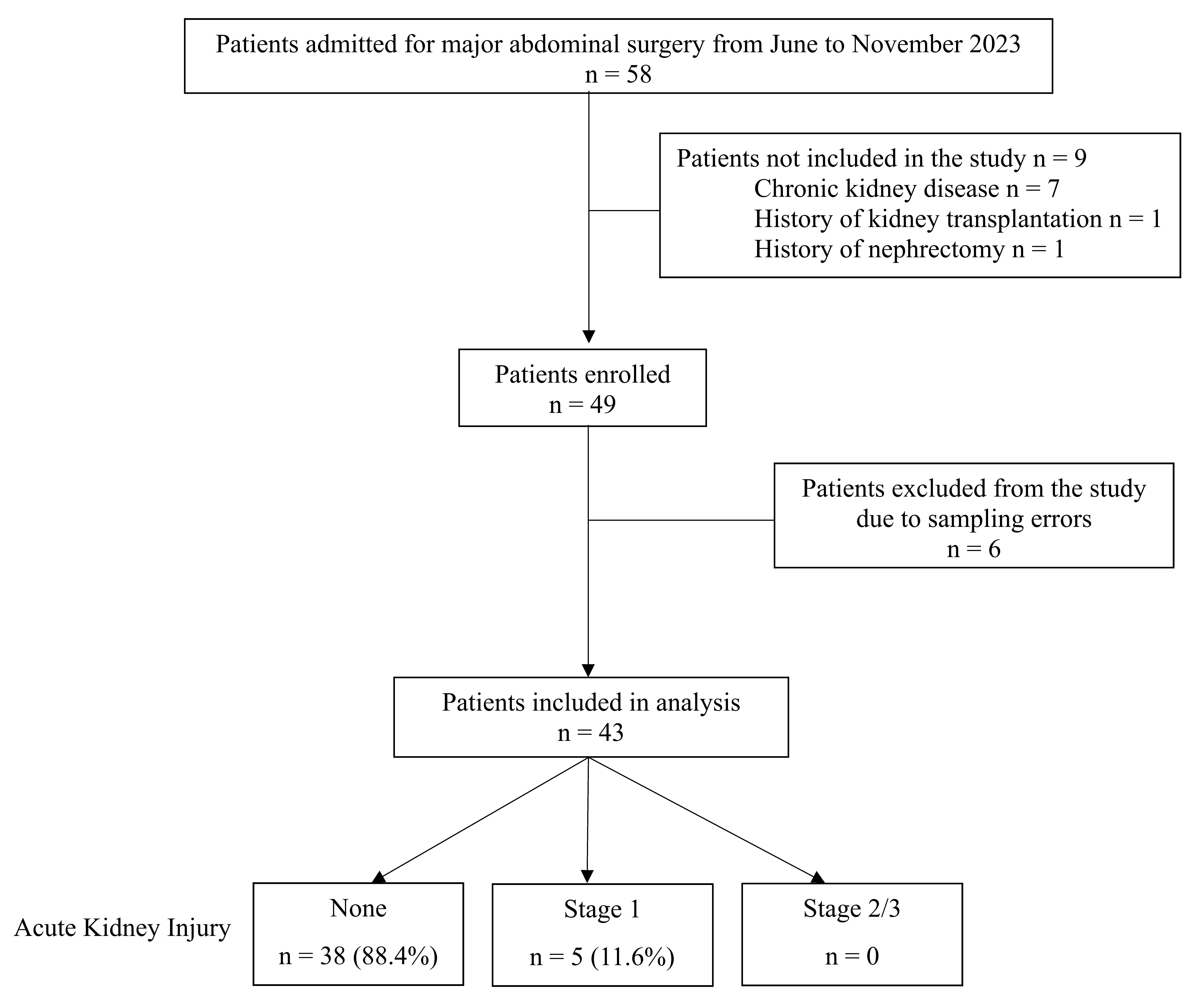Flow diagram of the patients showing reasons for exclusion.
Acute kidney injury was defined according to KDIGO classification.