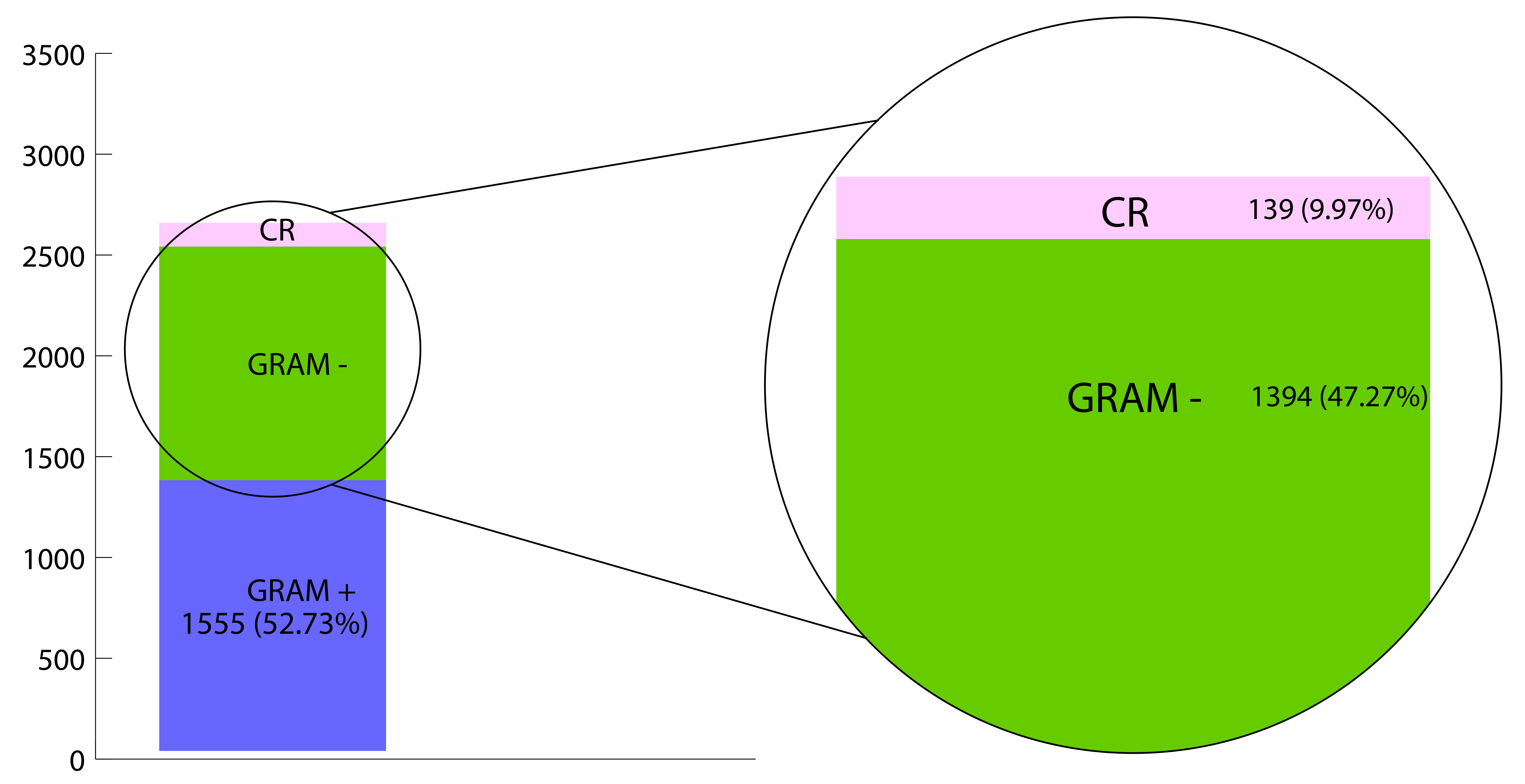 Proportions between Gram-positive (GRAM +) and Gram-negative
(GRAM −) bacteria, as well as the proportion of carbapenem-resistant (CR)
strains among Gram-negative bacteria in the analyzed isolates.