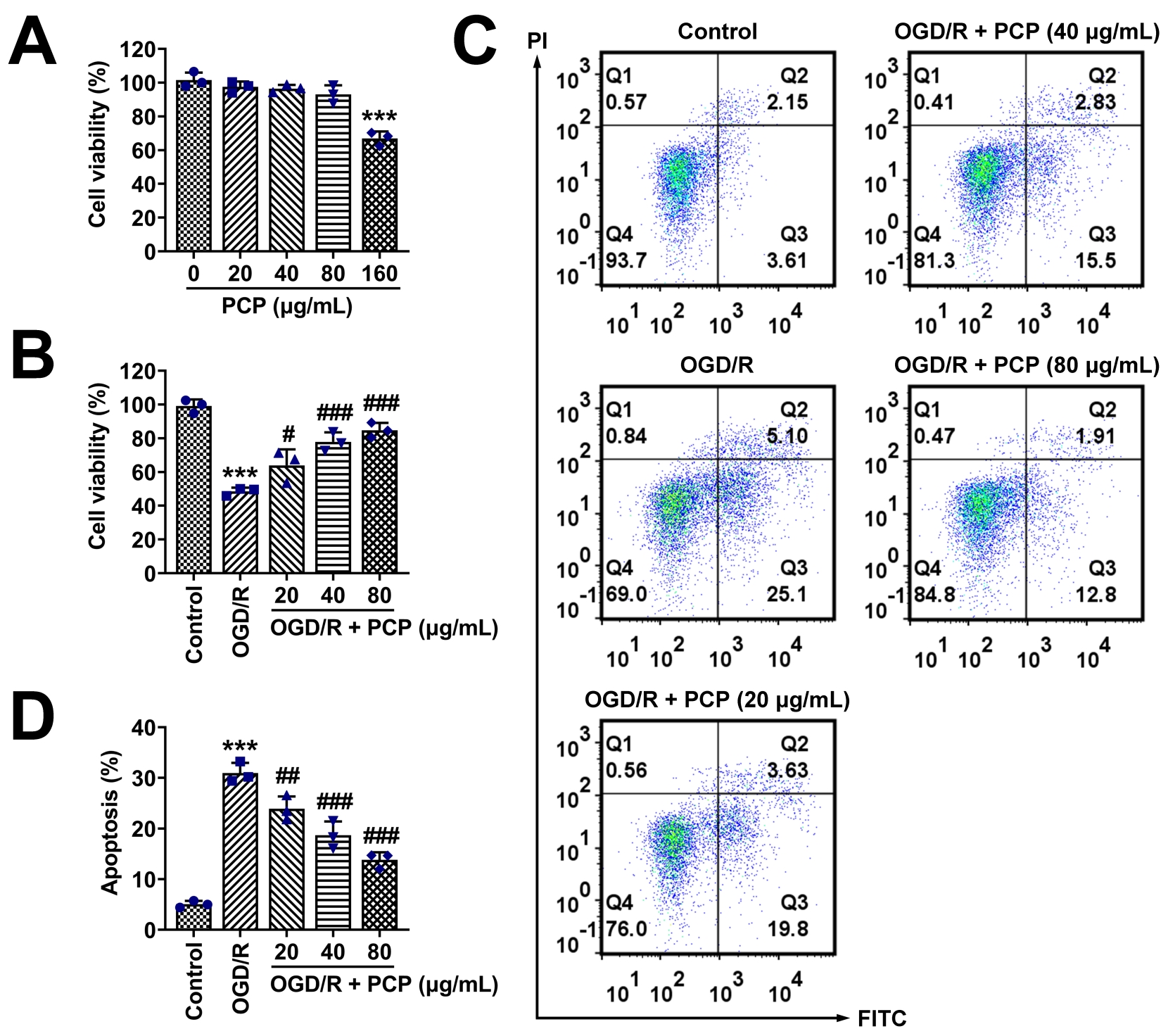 Effects of PCP on OGD/R-induced HT22 cell viability. (A) HT22
cells were assessed for viability using CCK-8 assay at different PCP
concentrations (0, 20, 40, 80, 160 μg/mL). (B) OGD/R-induced HT22 cells
were assessed for viability using CCK-8 assay at different PCP concentrations (0,
20, 40, 80, 160 g/mL). (C) FCM assays showed the apoptosis of HT22 cells in
different groups (Control, OGD/R, OGD/R + PCP). (D) Quantification of panel C,
quantitative analysis of apoptosis. Statistical analysis was performed using a
one-way ANOVA. Significance was indicated as ***p < 0.001
compared to OGD/R group; #p < 0.05, ##p < 0.01,
###p < 0.001 compared to Control group. PCP: Polygonatum
cyrtonema Hua Polysaccharides; OGD/R: Oxygen and Glucose
Deprivation/Reperfusion; OGD/R + PCP: Oxygen and Glucose Deprivation/Reperfusion
combined with Polygonatum cyrtonema Hua Polysaccharides; PI: Propidium
Iodide; FITC: Fluorescein Isothiocyanate.