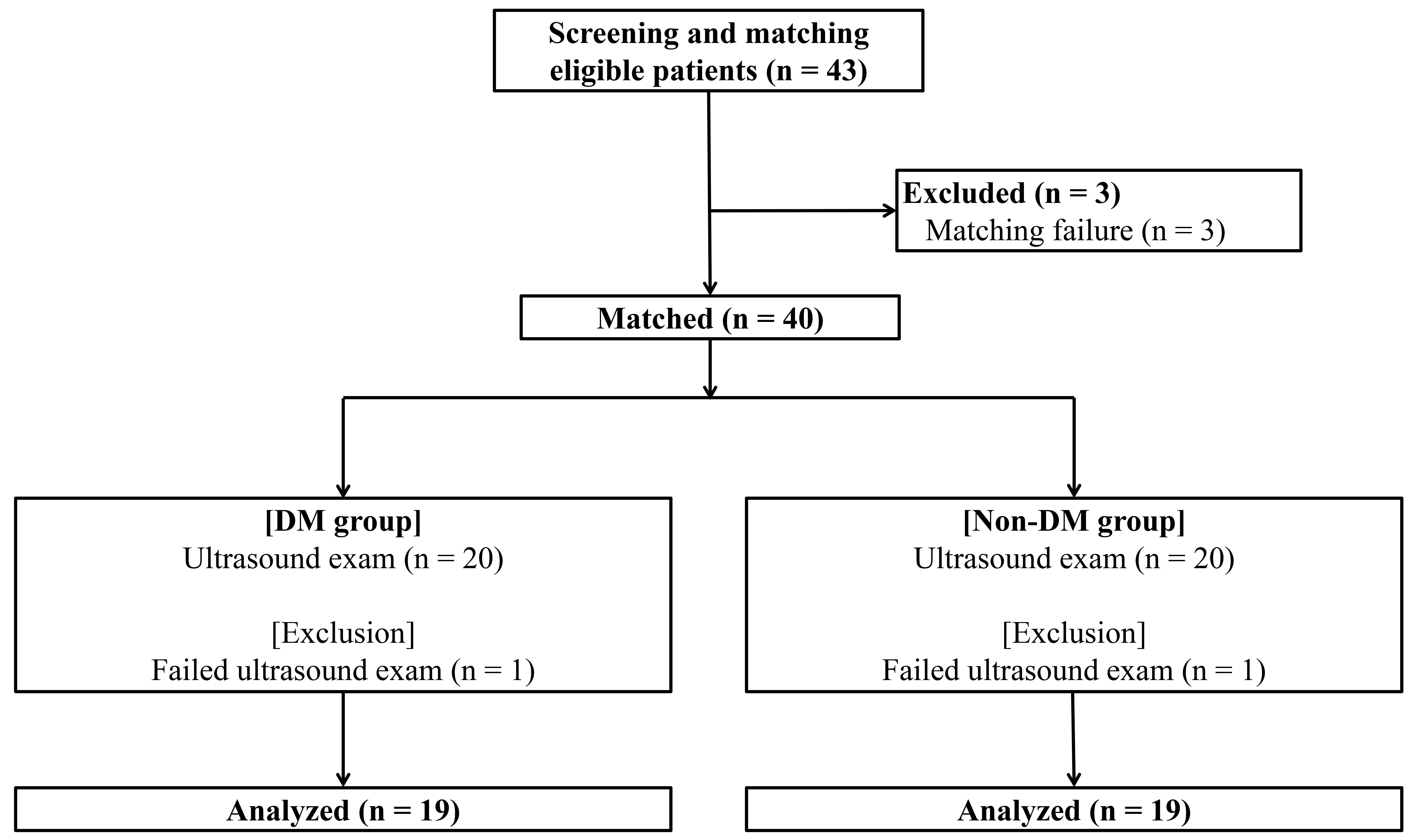 Patient inclusion flow chart. DM, diabetes mellitus.