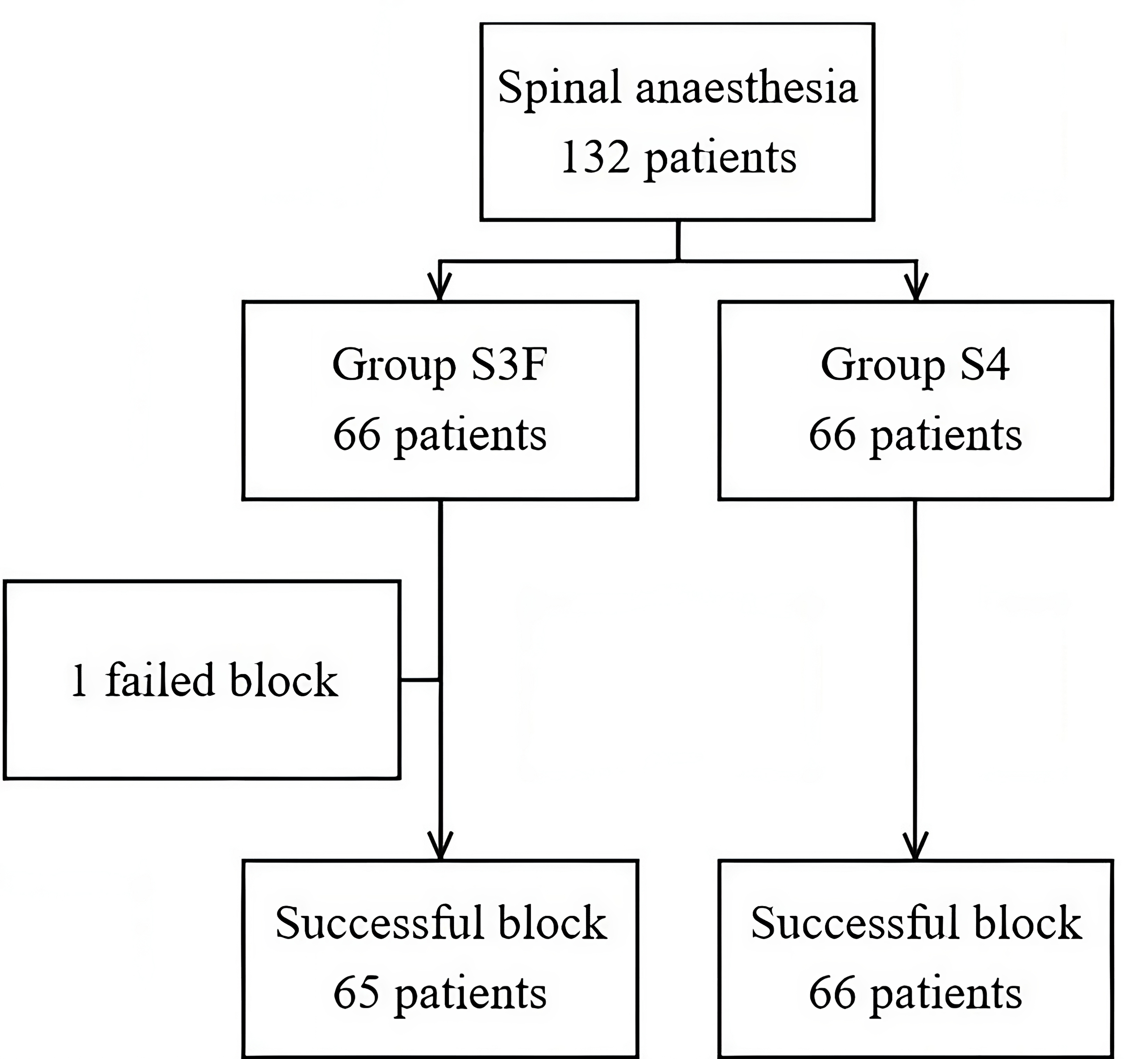 Study flow chart. Group S3F received 3 mg of spinal hyperbaric
bupivacaine and 10 μg of fentanyl. Group S4 received 4 mg of spinal
hyperbaric bupivacaine only.