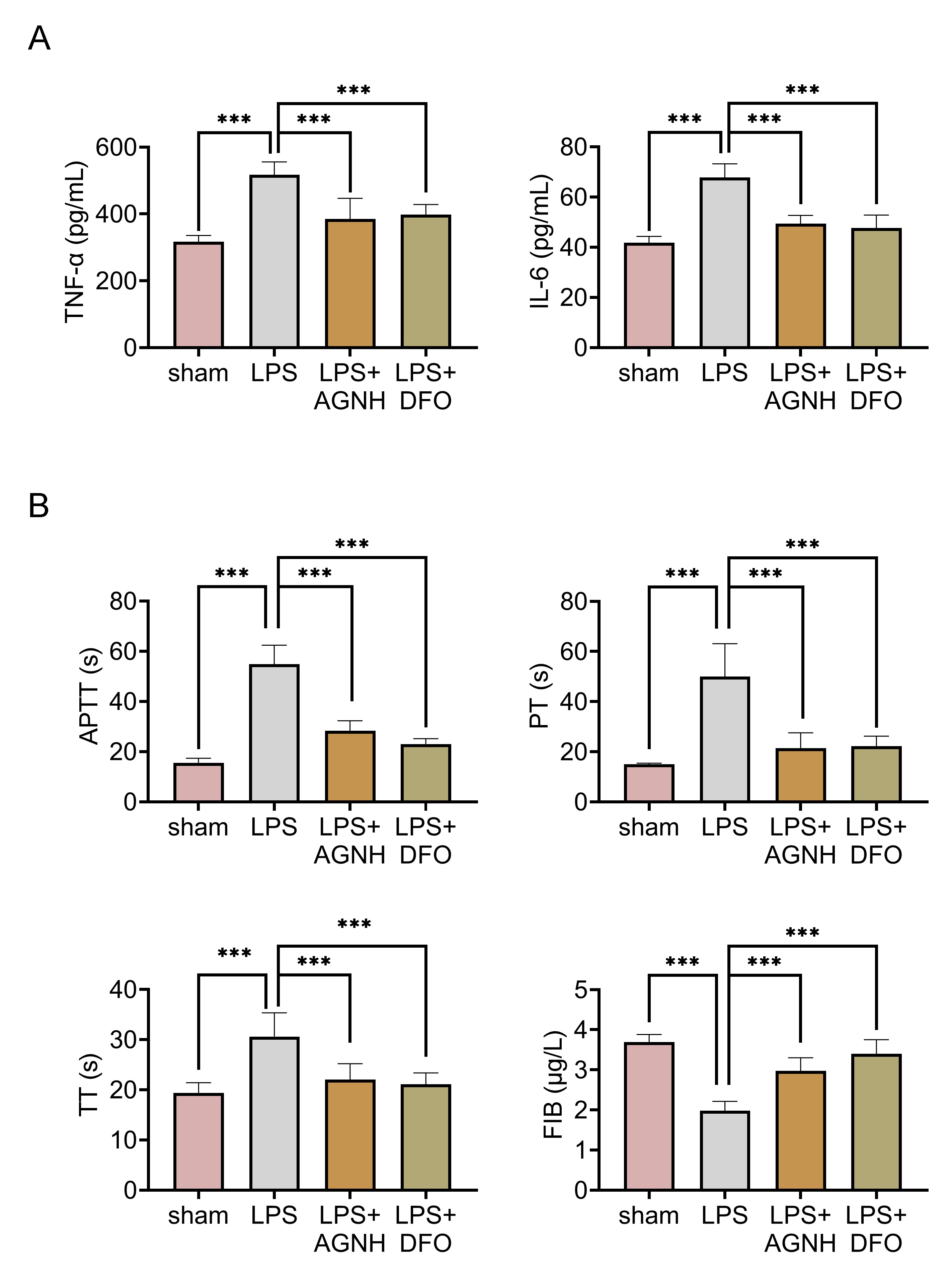AGNH ameliorated inflammation and coagulation function in
juvenile SAE mice. Mice were separated into the sham, LPS, LPS + 100 mg/kg AGNH
and LPS + 100 mg/kg DFO groups. (A) The levels of TNF-α and IL-6 were
examined through ELISA. (B) The prothrombin time (PT), activated partial
thromboplastin time (APTT), thrombin time (TT) and fibrinogen (FIB) level were
confirmed through the automatic coagulation analyzer. N = 6 mice in each group.
***p < 0.001. LPS: lipopolysaccharide; AGNH: Angong Niuhuang Pill;
DFO: Defetoxamine; TNF-α: tumor necrosis factor-alpha; IL-6:
interleukin-6.