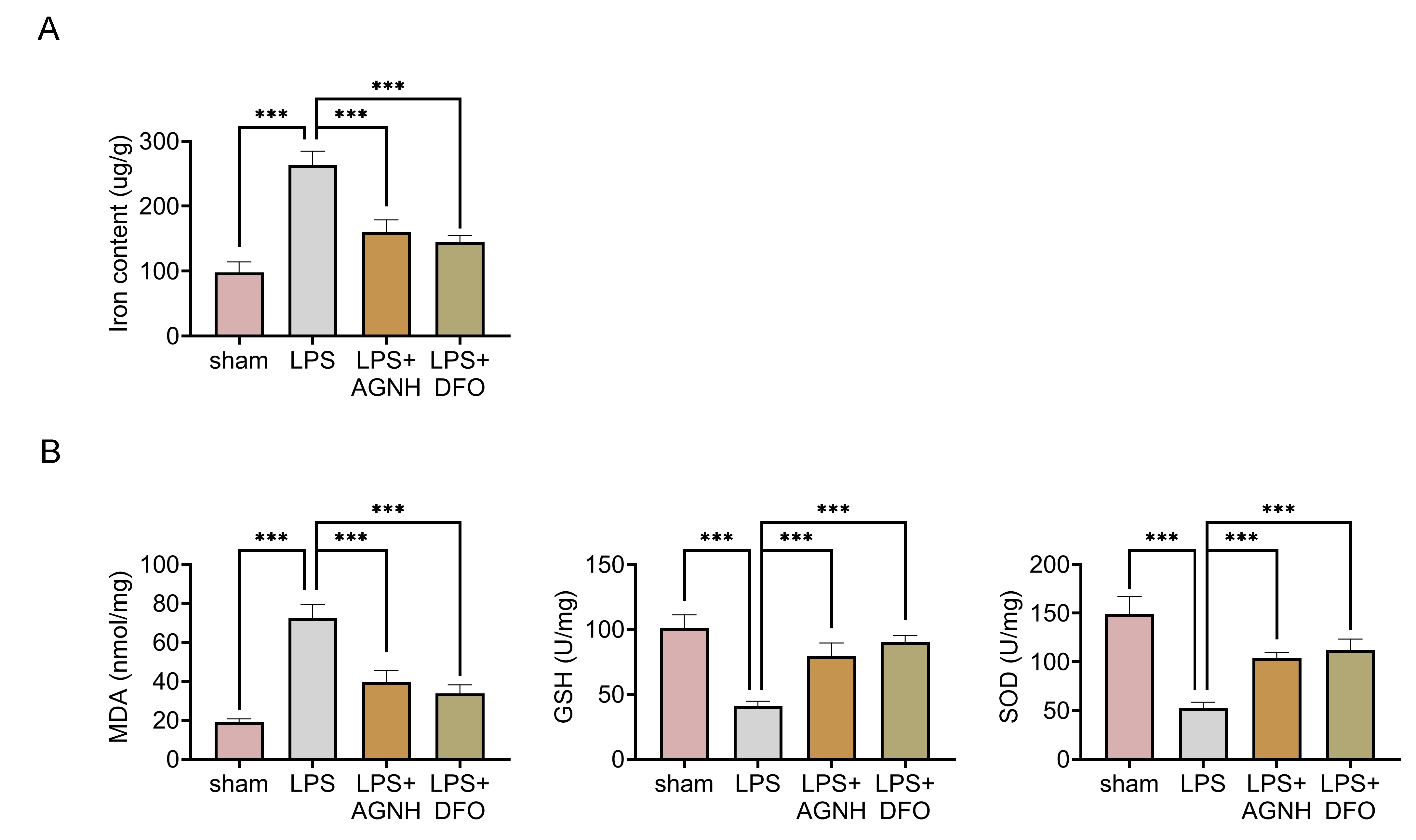 AGNH suppressed ferroptosis and oxidative stress in juvenile SAE
mice. Mice were separated into the sham,
LPS, LPS + 100 mg/kg AGNH and LPS + 100 mg/kg DFO groups. (A) The
iron content was tested through the
commercial kit. (B) The levels of MDA, GSH and SOD were measured through the
corresponding commercial kits. N = 6 mice in each group. ***p < 0.001.
LPS: lipopolysaccharide; AGNH: Angong Niuhuang Pill; DFO: Defetoxamine; MDA:
malondialdehyde; GSH: glutathione; SOD: superoxide dismutase.