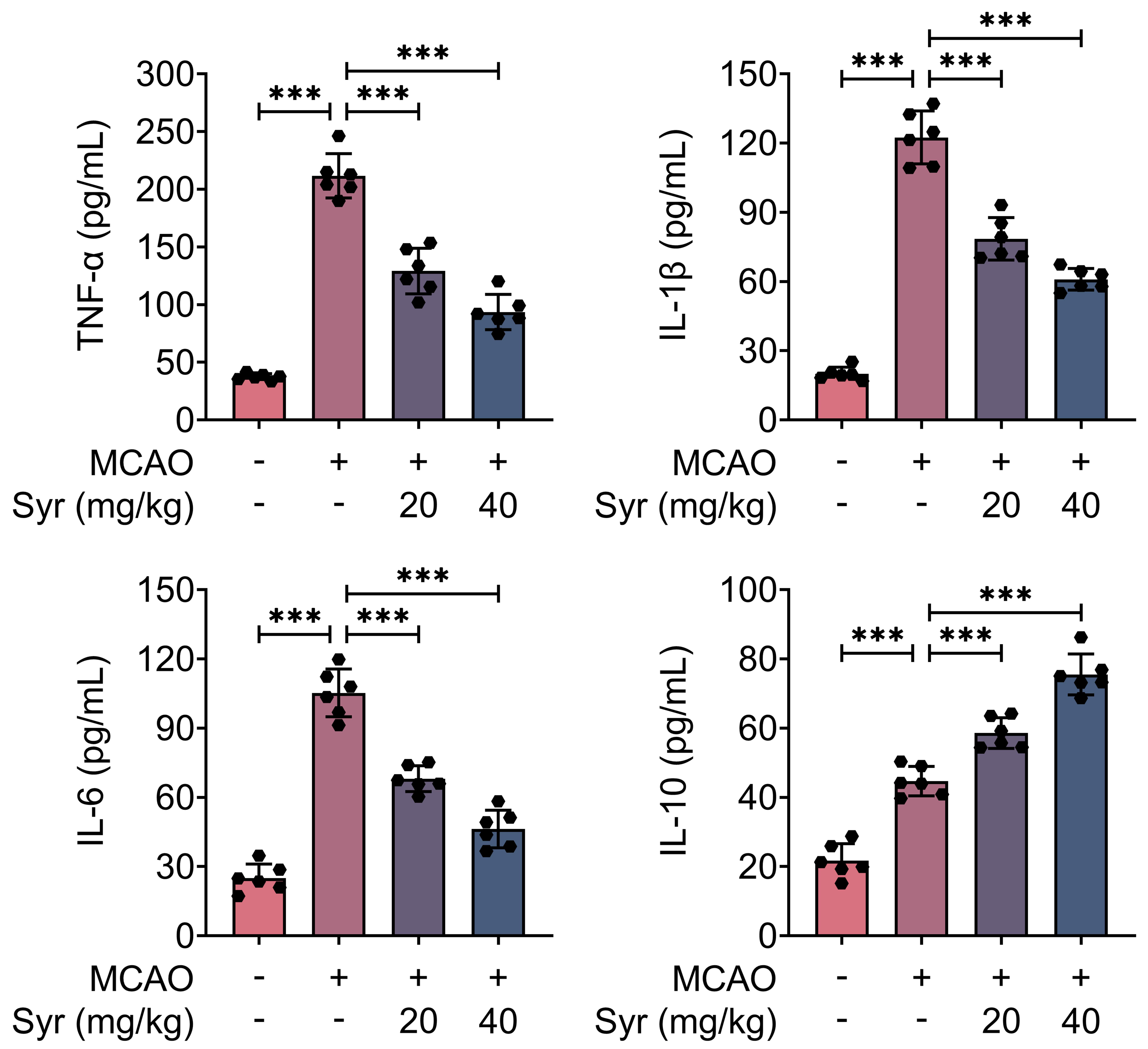Syringaresinol alleviates inflammation in MCAO mice. The
secretion of IL-6, IL-10, IL-1β and TNF-α level in the serum
from sham, MCAO, MCAO + Syr (20 mg/kg), MCAO + Syr (40 mg/kg) groups were
assessed by ELISA kit. ***p < 0.001. Syr: Syringaresinol; MCAO: Middle
cerebral artery occlusion; IL: Interleukin; TNF-α: Tumor Necrosis Factor-α.