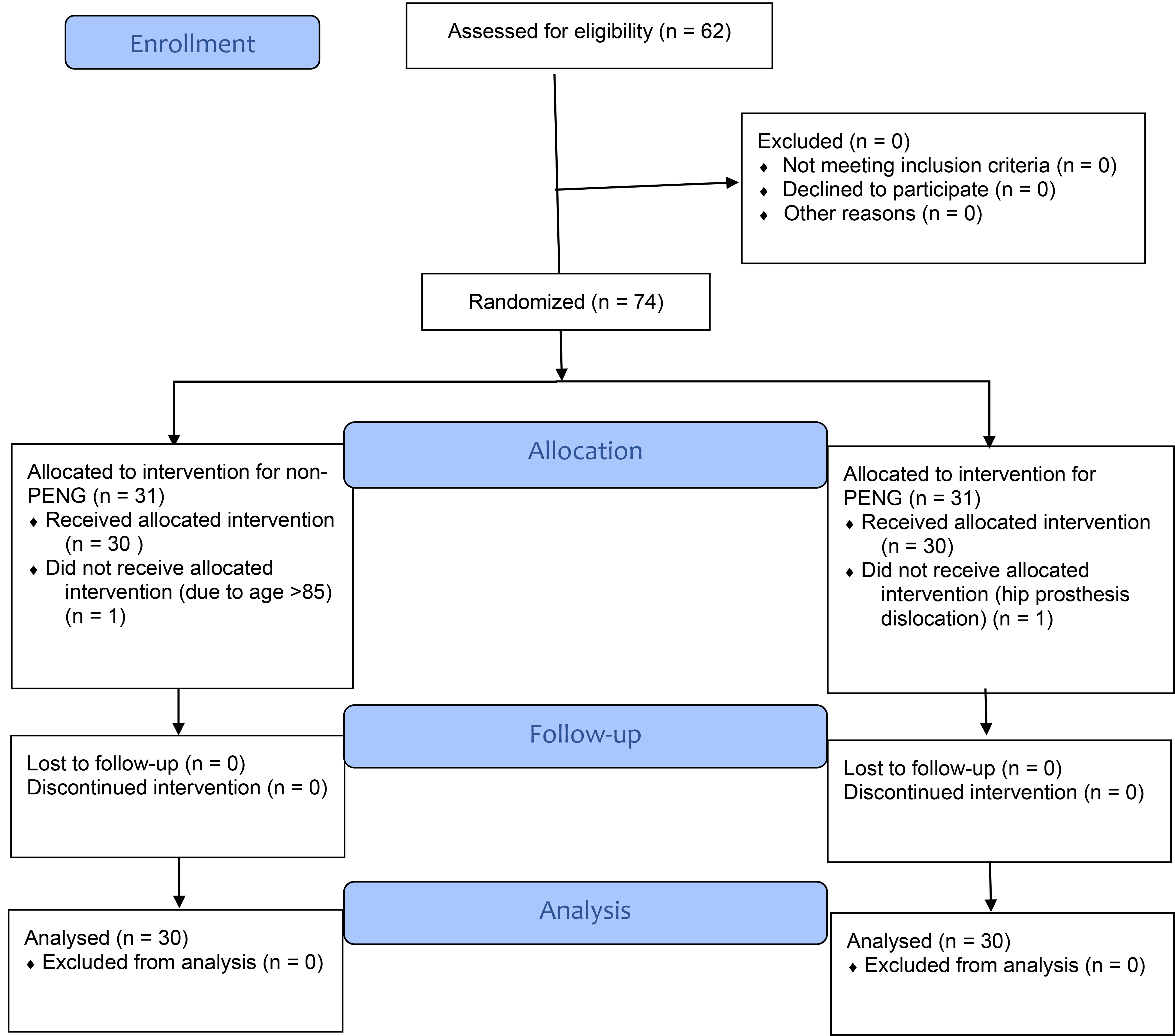 CONSORT 2010 Flow Diagram. PENG: Pericapsular Nerve Group.