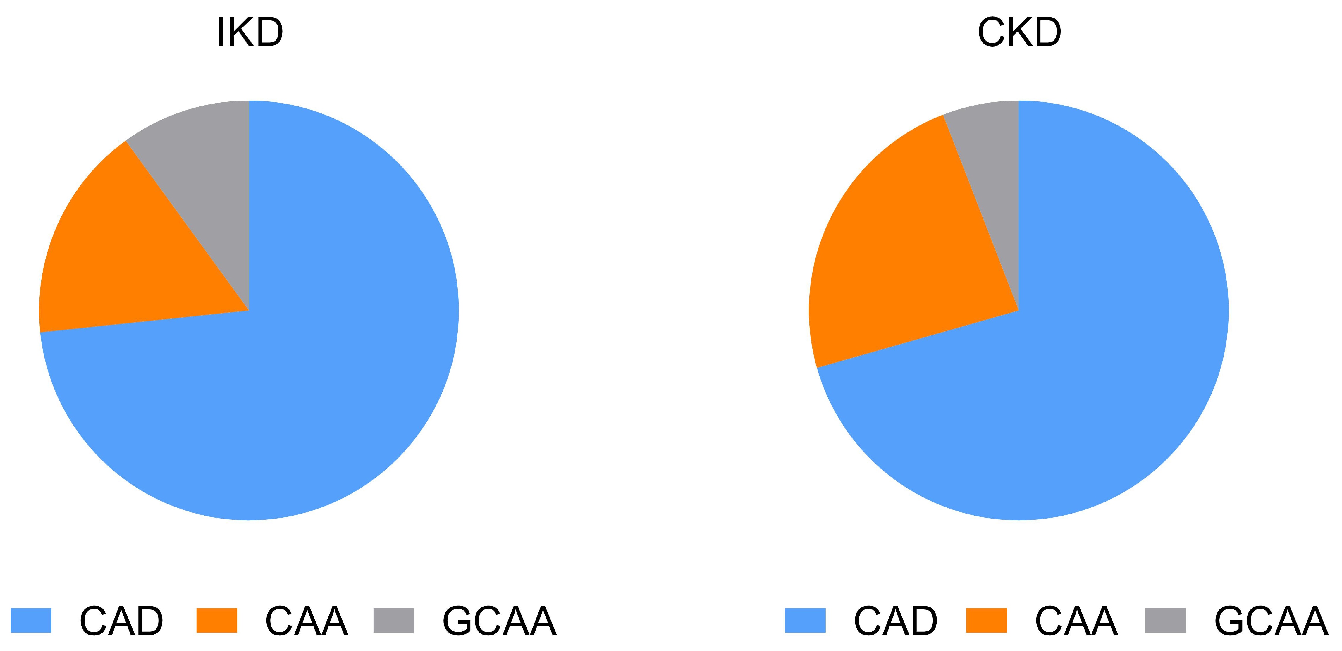Relative share of each subtype of CAL within the group. IKD:
incomplete Kawasaki disease; CKD: complete Kawasaki disease; CAD: Coronary artery
dilatation; CAA: coronary artery aneurysm; GCAA: giant coronary artery aneurysm.