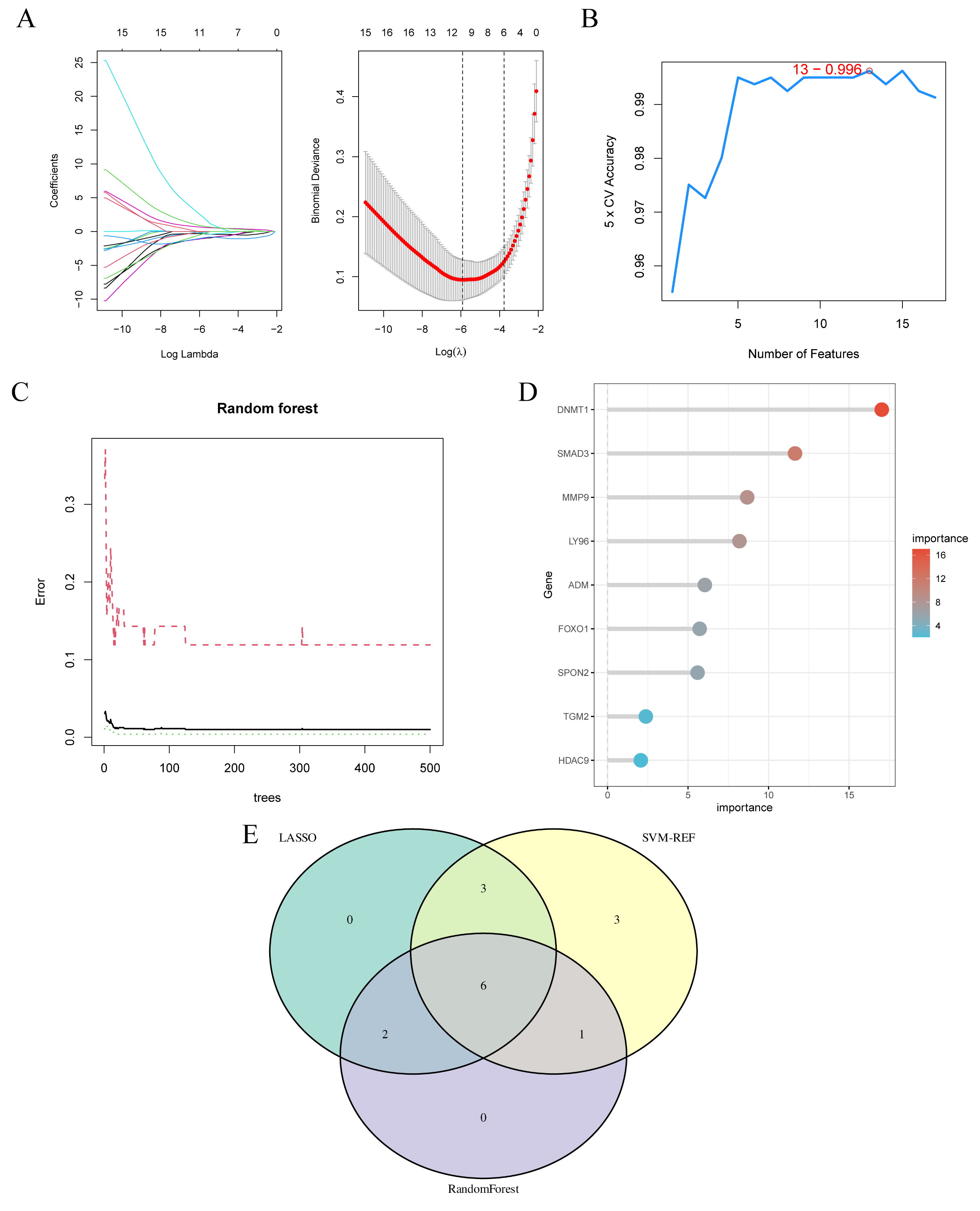 Screening of hub genes. (A) LASSO cross-validation error
diagram. (B) Accuracy curve of the optimal characteristic genes. (C,D) Random
forest screening of the characteristic genes. (E) Identification of hub genes
using three machine-learning algorithms. LASSO, least absolute
shrinkage and selection operator; CV, cross-validation; SVM-RFE, support vector
machine-recursive feature elimination.