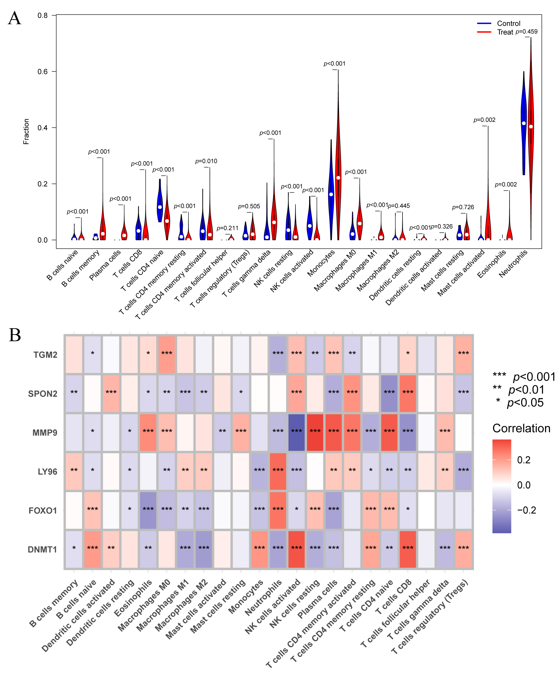 Immune cell infiltration analysis. (A) Differential
infiltration of immune cells between the normal and disease groups. (B)
Correlation heatmap between the six hub genes and the immune cells. *p
< 0.05; **p < 0.01; ***p < 0.001. NK, natural killer; CD,
cluster of differentiation. SPON2, spondin 2; MMP9, matrix
metalloproteinase 9; TGM2, transglutaminase 2; DNMT1, DNA methyltransferase 1; FOXO1, forkhead box protein 1; LY96,
lymphocyte antigen 96.