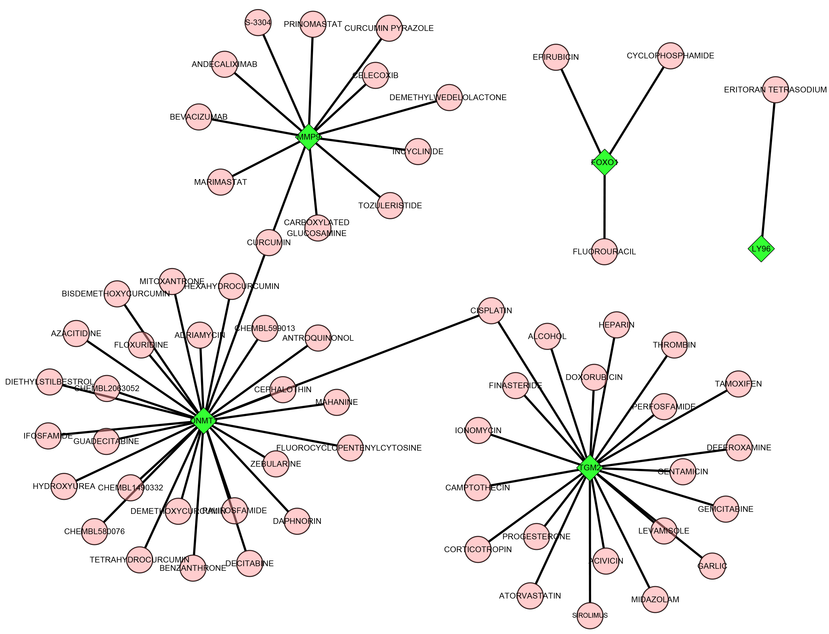 The predicted drug network. Green diamonds represent hub genes;
pink circles represent interactive drugs. MMP9, matrix metalloproteinase
9; TGM2, transglutaminase 2; DNMT1, DNA
methyltransferase 1; FOXO1, forkhead box protein 1; LY96,
lymphocyte antigen 96.
