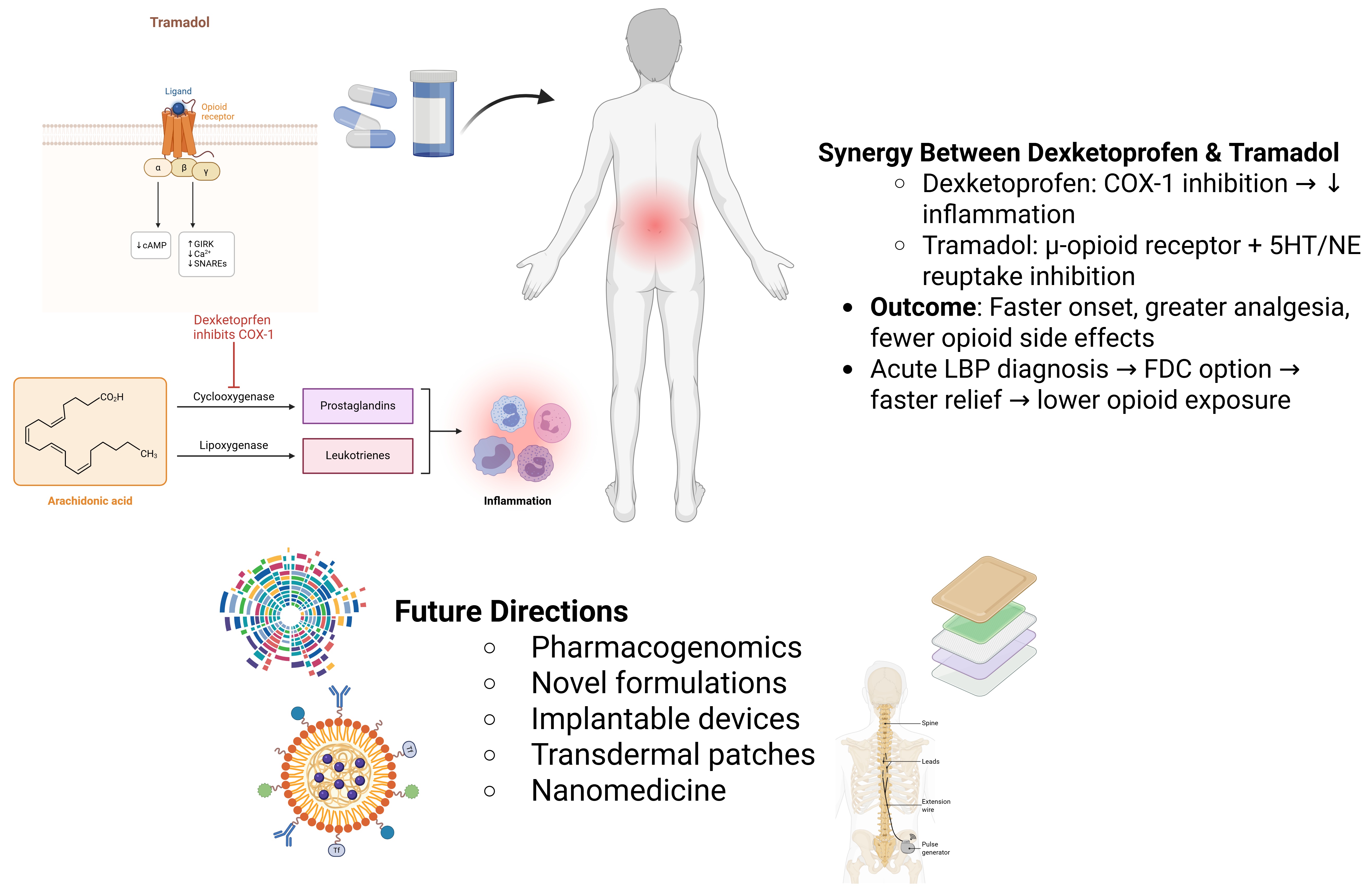 Synergistic mechanisms and future perspectives of
Dexketoprofen–Tramadol combination in acute pain management. COX:
cyclooxygenase; LBP: low back pain; FDC: fixed-dose combination; 5HT/NE:
5-Hydroxytryptamine (Serotonin)/Norepinephrine.