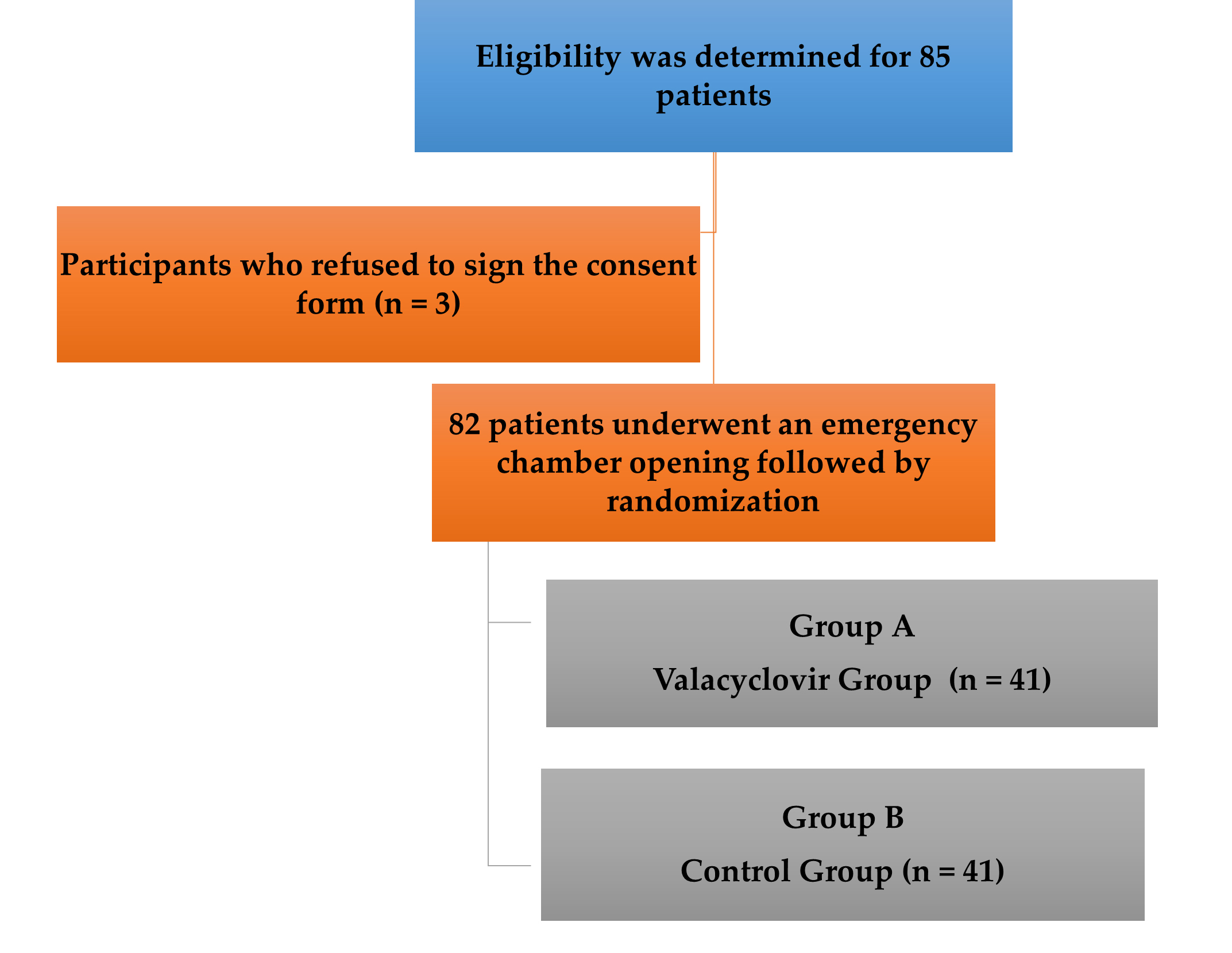 The schematic flow of
patients throughout the study.