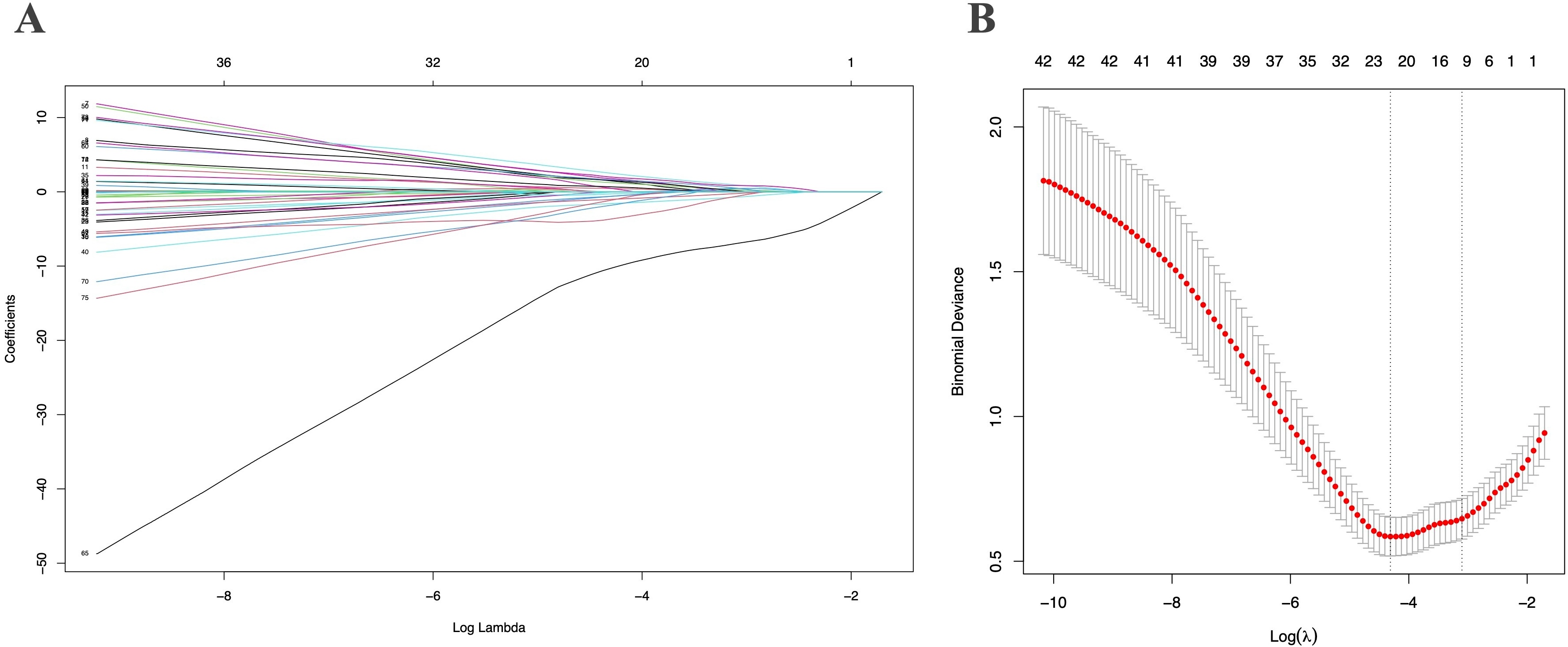 LASSO regression: coefficient paths and cross-validation curve. (A)
LASSO coefficient paths. (B) LASSO cross-validation curve.
