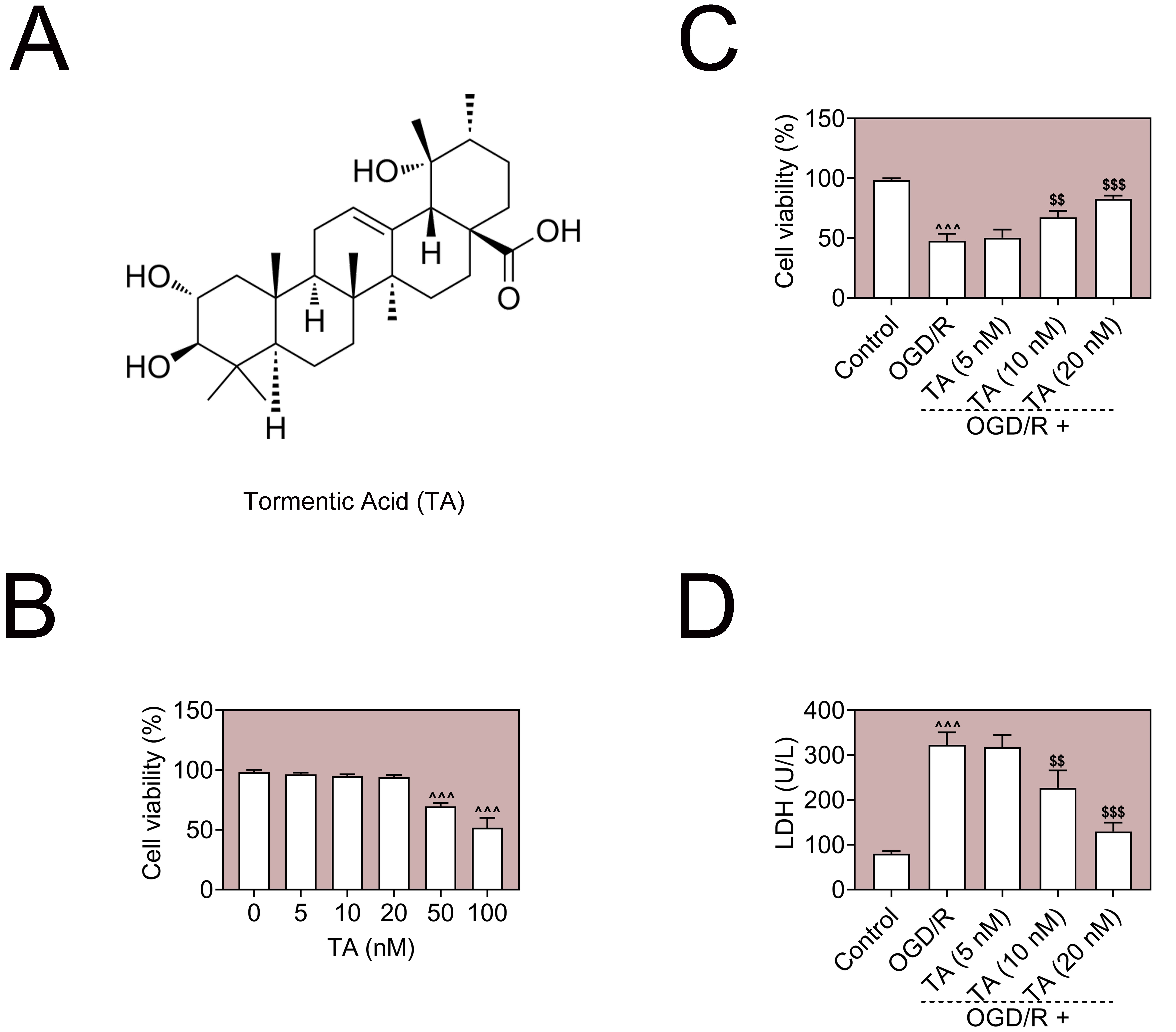 Tormentic acid enhances cell viability in HT22 cells under OGD/R 
conditions. (A) Chemical structure of tormentic acid (TA). (B) HT22 cells were 
treated with various concentrations of TA (5, 10, 20, 50, 100 nM), and cell 
viability was assessed by CCK8 assay. (C) HT22 cells were subjected to 
oxygen-glucose deprivation/reoxygenation (OGD/R) with or without TA pretreatment 
(5, 10, 20 nM), and cell viability was measured. (D) LDH release was evaluated to 
assess cell injury following OGD/R and TA treatment. Data are presented as mean 
± SD (n = 3). Each experiment has been repeated for 3 times. 
^^^p < 0.001 
vs. Control; $$p < 0.01, $$$p < 
0.001 vs. OGD/R group. LDH: lactate dehydrogenase.