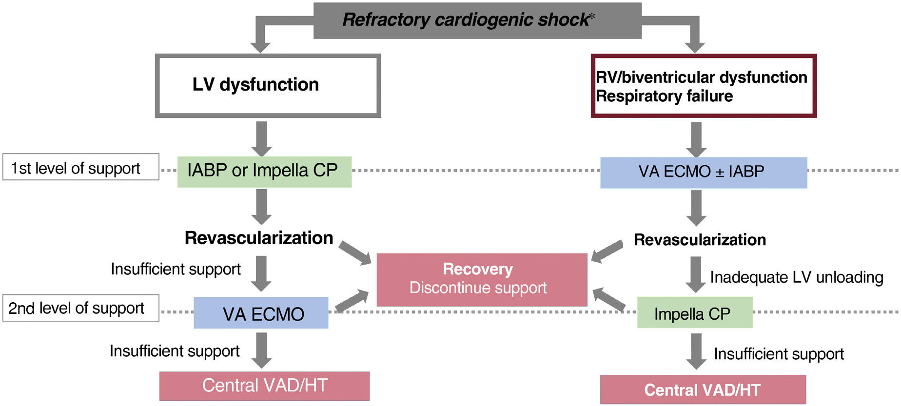Patient selection and choice of device for patients with 
cardiogenic shock (CS). HT, heart transplant; IABP, intra-aortic 
counterpulsation balloon pump; LV, left ventricle; RV, right ventricle; VA, 
venoarterial; VAD, ventricular assist device (Adapted from 
Martínez-Sellés 2023, with permission [37]). ECMO, extracorporeal 
membrane oxygenation; CP, Cardiac Pump. *Systolic blood pressure (SBP) <90 mmHg 
for more than 30 min or inotropes to get SBP >90 mmHg, signs of pulmonary 
congestion and poor perfusion, and at least one of the following: altered mental 
state, cold clammy skin, oliguria <30 mL/h or arterial lactate >2.0 mmol/L. 
Refractory cardiogenic shock (CS) is CS despite vasopressors/inotropes 
and appropriate volume replacement.