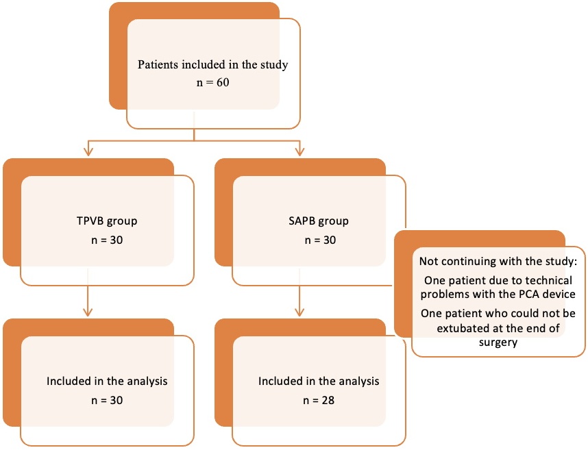 Study flow chart: sixty patients were randomized equally into
TPVB (n = 30) and SAPB (n = 30) groups. Two patients in the SAPB group were
excluded, leaving 28 for analysis, while all 30 in the TPVB group were analyzed.
TPVB: thoracic paravertebral block; SAPB: serratus anterior plane block; PCA:
Patient-controlled analgesia.