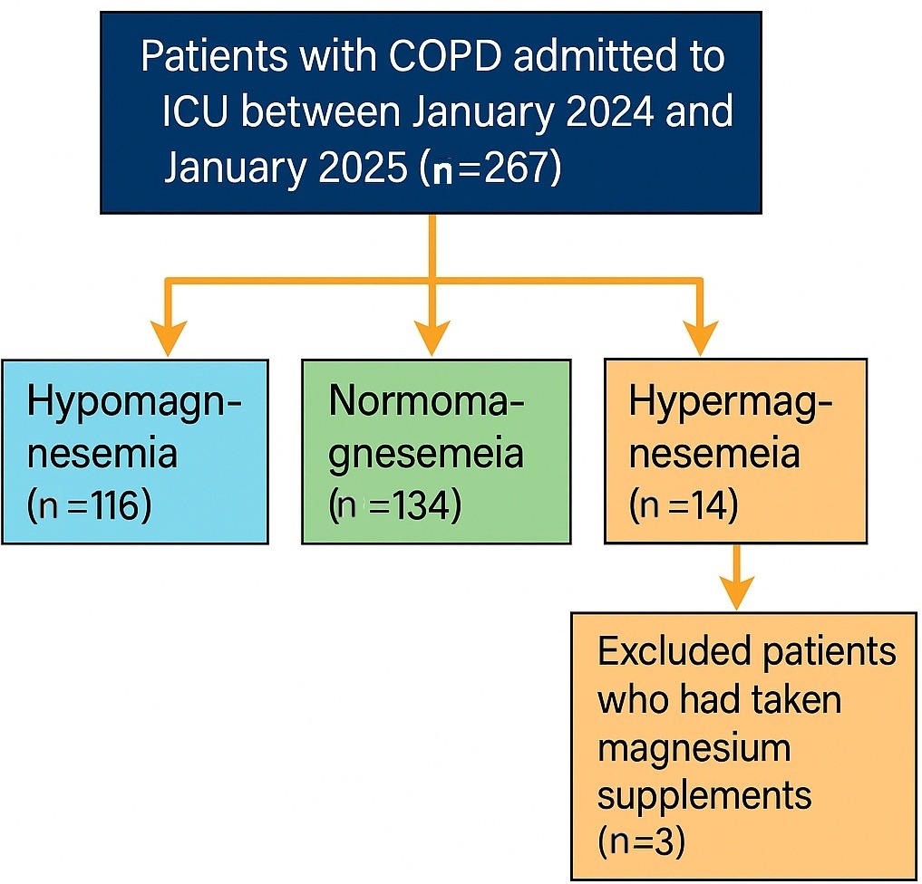 Flow chart of included patients with COPD admitted to the 
intensive care unit at Ağrı Training and Research Hospital, Ağrı, 
Türkiye, January 2024 to January 2025. COPD: obstructive pulmonary disease; 
ICU: intensive care unit.