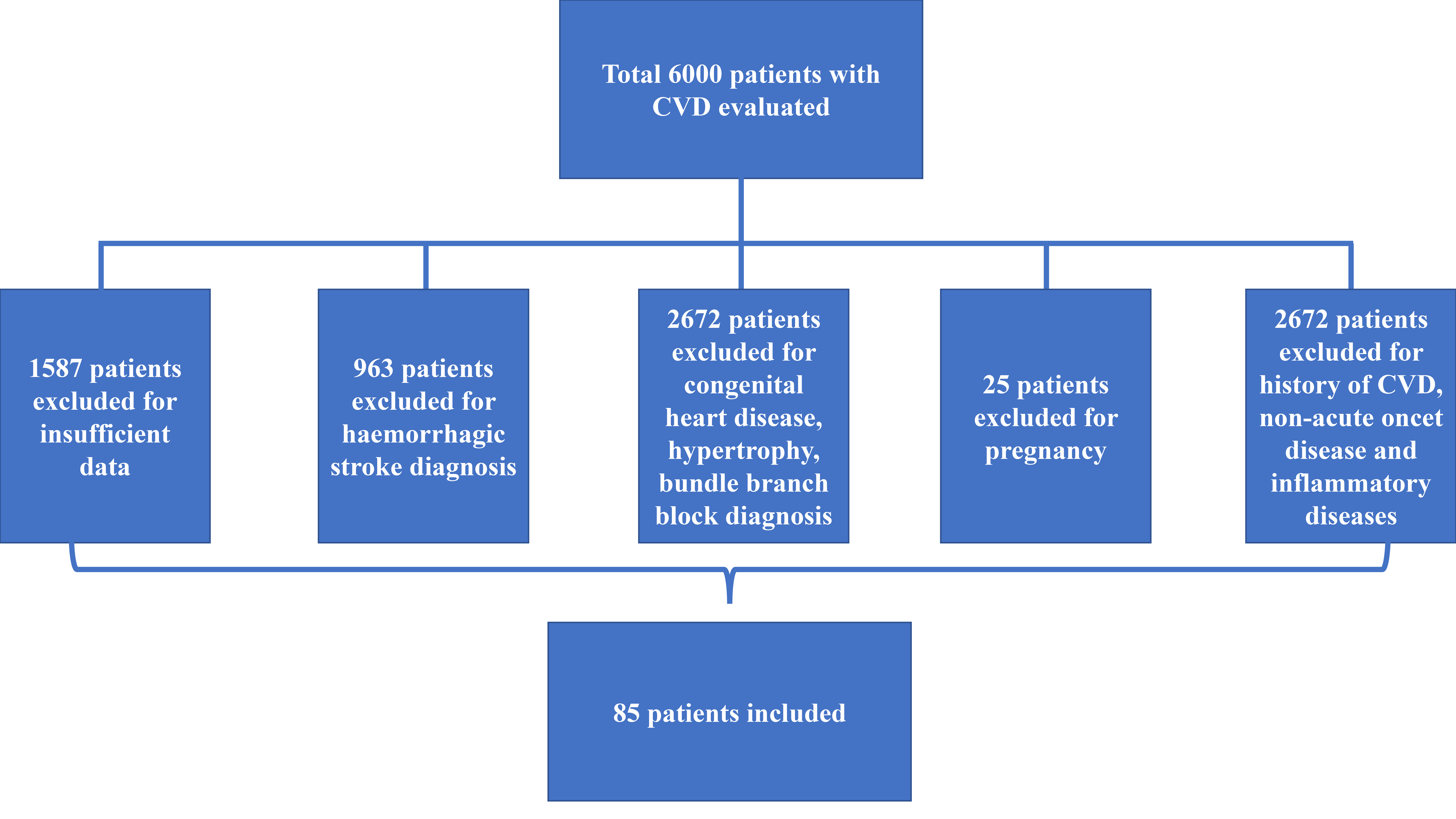 Inclusion and exclusion criteria. CVD: cardiovascular disease.