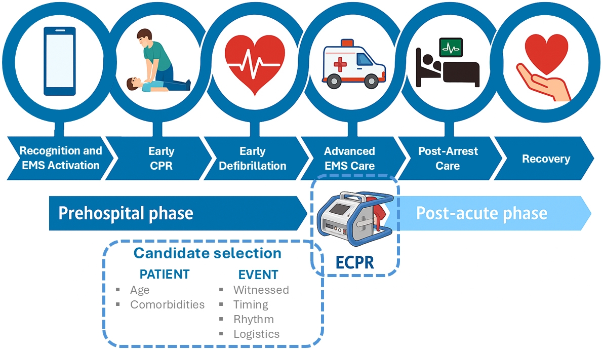 The chain of survival represents all the interconnected links
required to maximize outcomes in patients experiencing cardiac arrest. ECPR
represents a valuable tool to restore perfusion in selected patients, only when
embedded in a structured cardiac arrest management system. ECPR: extracorporeal
cardiopulmonary resuscitation; EMS: emergency medical system; CPR:
cardiopulmonary resuscitation.