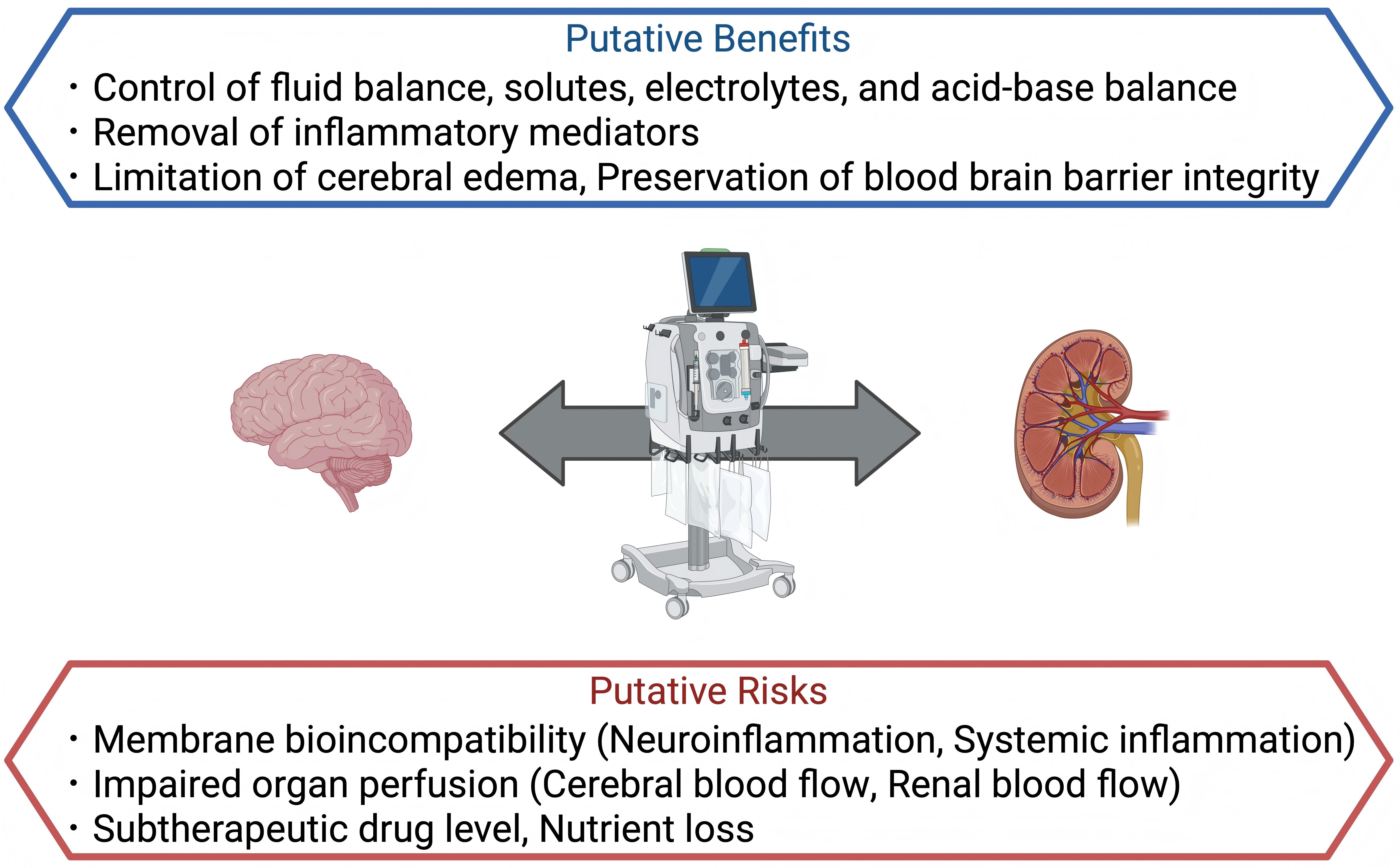 Potential benefits and risks of continuous renal replacement 
therapy in sepsis-associated acute kidney injury on the kidneys and brain.